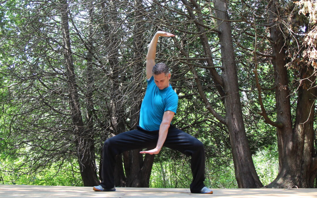 Qi Gong Immersion